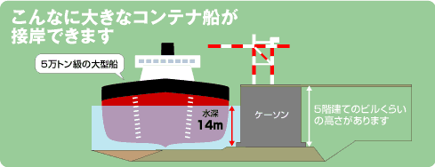 5万トン級の大きなコンテナ船が接岸できます