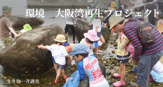 環境～大阪湾再生プロジェクト～…生き物一斉調査