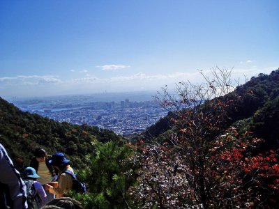 六甲山から眺める神戸港