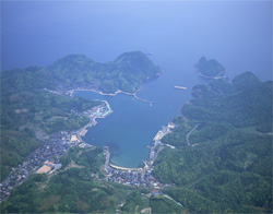 柴山港空撮写真