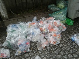 回収されたゴミ