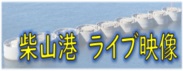 柴山港 ライブ映像