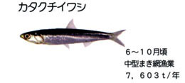 カタクチイワシ