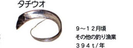 タチウオ