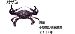 カザミ