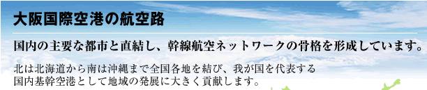 大阪国際空港の航空路/国内の主要な都市と直結し、幹線航空ネットワークの骨格を形成しています。北は北海道から南は沖縄まで全国各地を結び、我が国を代表する国内基幹空港として地域の発展に大きく貢献します。