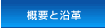 TvƉv